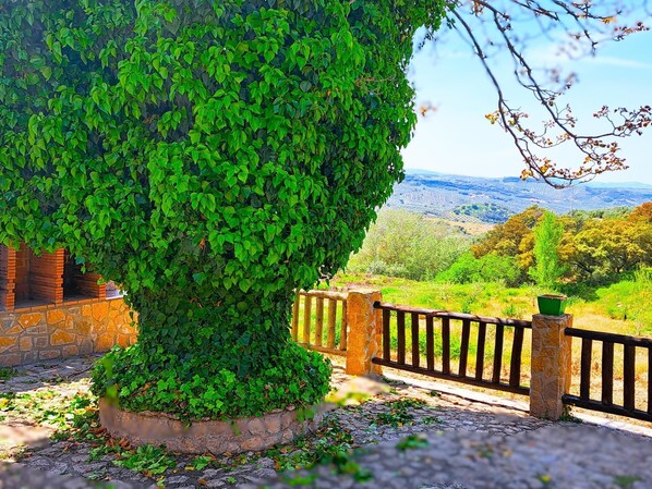Property grounds - Suitur rural House Cortijo de Don Manuel ( The Mills) (Algarinejo)