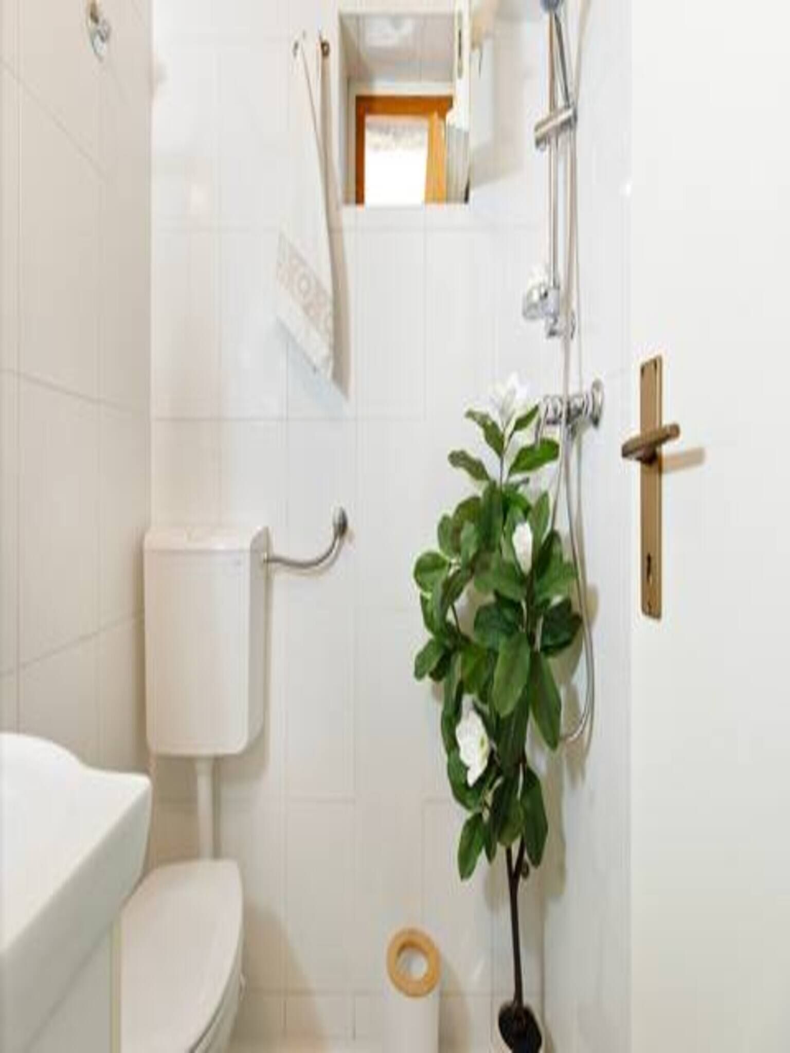 Et badeværelse med toilet, bruser og en plante.