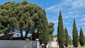 A residential area with a large tree, tall cypress trees, and a street sign indicating 'TOULOUSE'. - Cosy, fully-equipped Tiny House - private garden (Castanet-Tolosan)