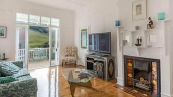 Smart TV, fireplace, books