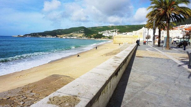 Une promenade en bord de mer avec une plage de sable, un mur de pierre et un palmier.
