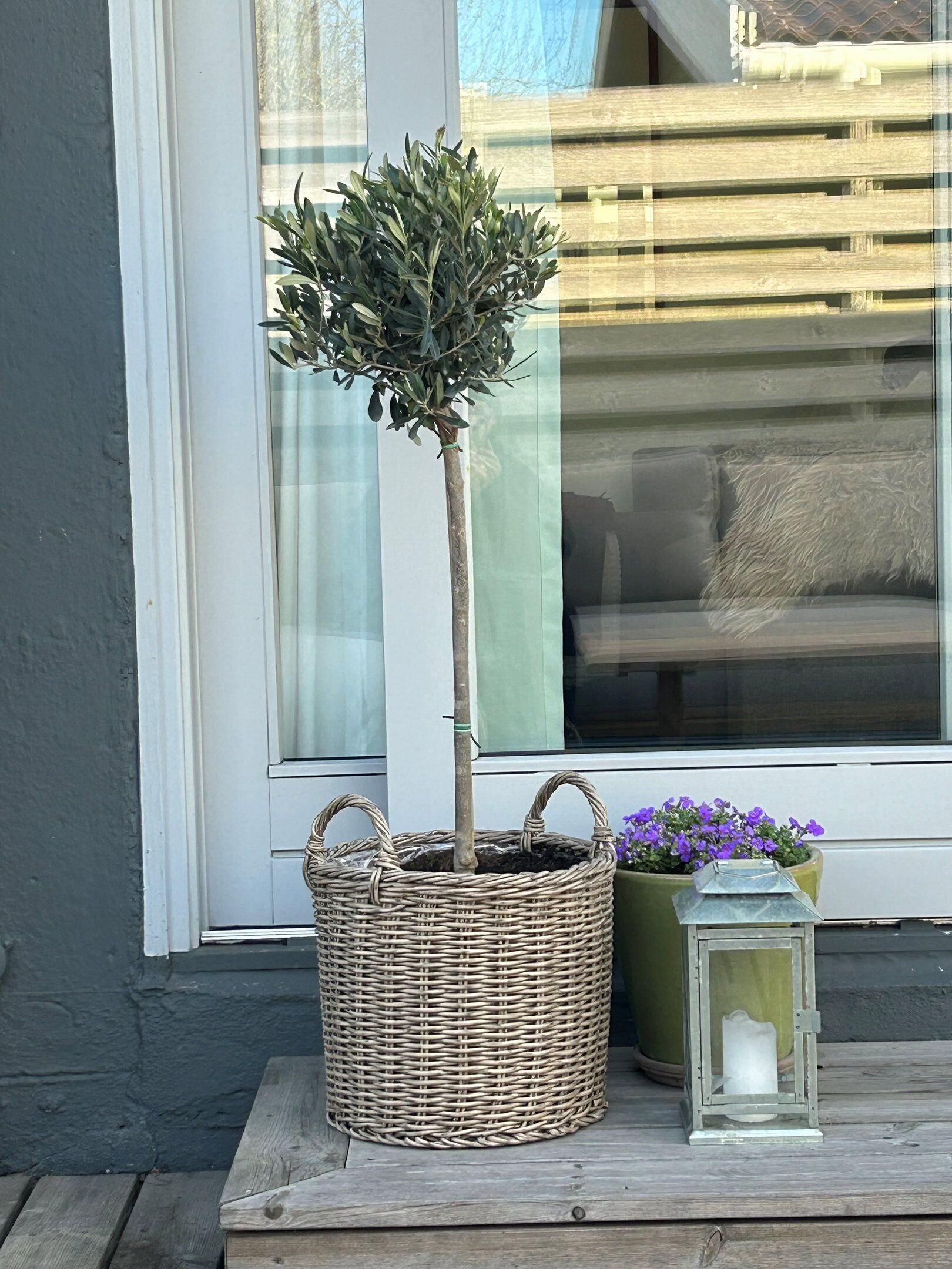A potted tree, a wicker basket, and a lantern on a wooden ledge.