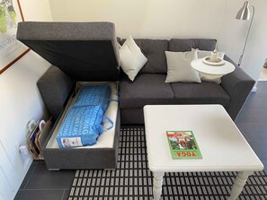 Fireplace, stereo - Lovely cottage near beautiful bathing beach (Otterup)