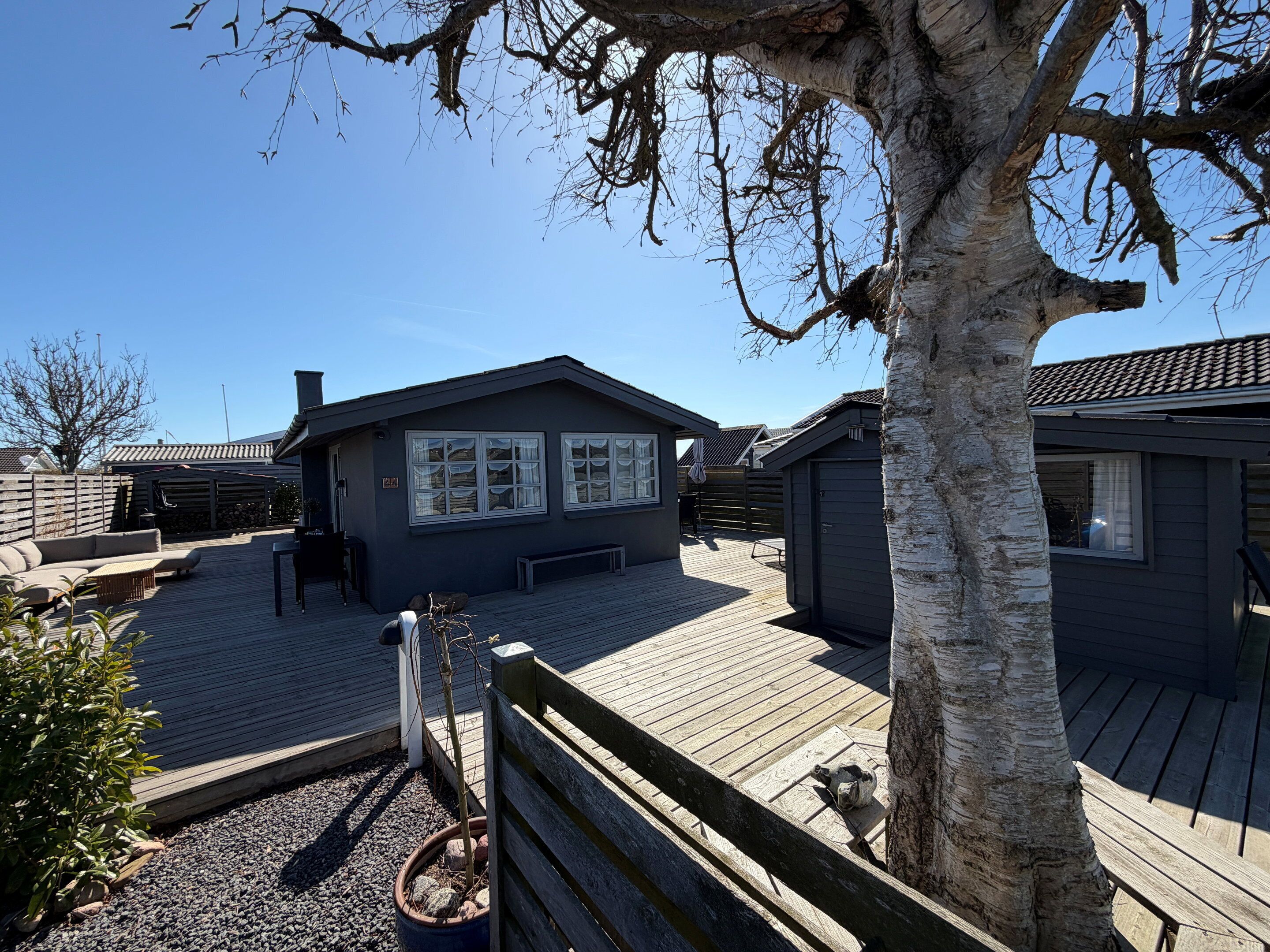 A wooden deck with a bench, a small tree, and a building with windows and a door.