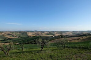Miscellaneous - Ferienwohnung mit Pool und Panoramablick (Terre Roveresche)