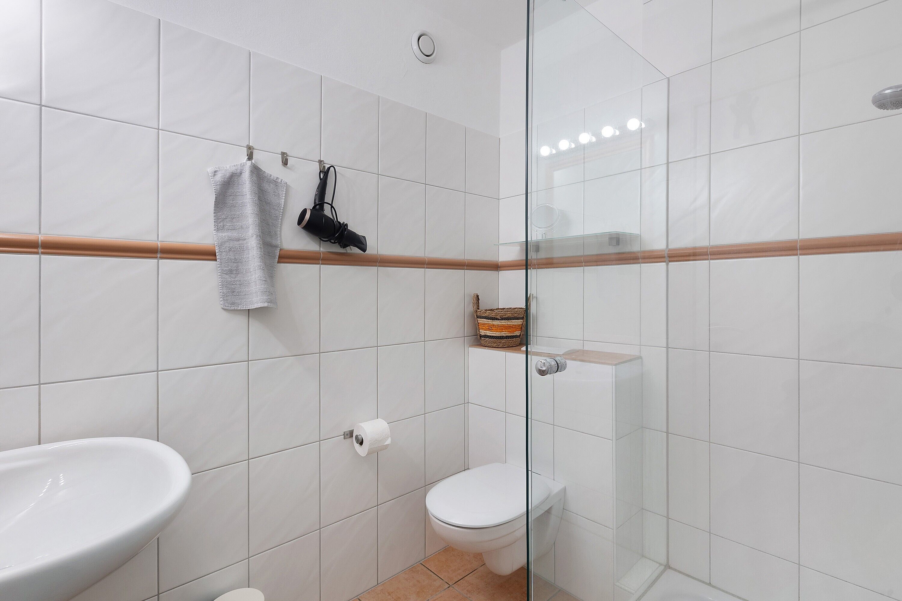 Shower, hair dryer, towels