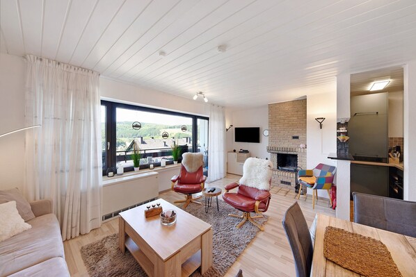 TV, fireplace, video games, DVD player