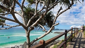 A coastal walkway with a wooden railing, palm trees, and a view of the ocean. - Ambassador Beachfront Apartments (Burleigh Heads)