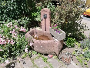 Property grounds - Apartment '7, 60qm' with Shared Terrace, Balcony and Wi-Fi (Freiburg im Breisgau)