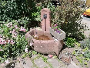 Property grounds - Apartment '7, 60qm' with Shared Terrace, Balcony and Wi-Fi (Freiburg im Breisgau)