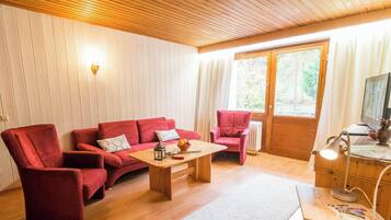 Fernseher