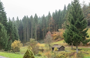 Ländliche Landschaft mit einer kleinen Holzhütte, dichtem Wald und einem Hügel mit spärlicher Vegetation.
