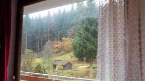 A view through a window of a forested area with a small cabin. - Single Room with Shared Terrace, Balcony, and Wi-Fi (Altensteig)