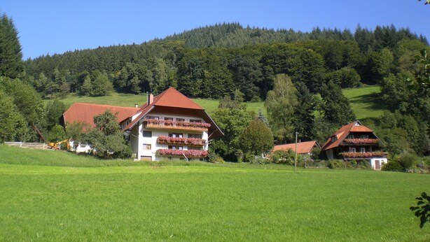 A rural house with a red roof, surrounded by green fields and a forested hill. - Apartment 'Ferienwohnung Schwalbennest' with Mountain View, Balcony and Wi-Fi (Mühlenbach)