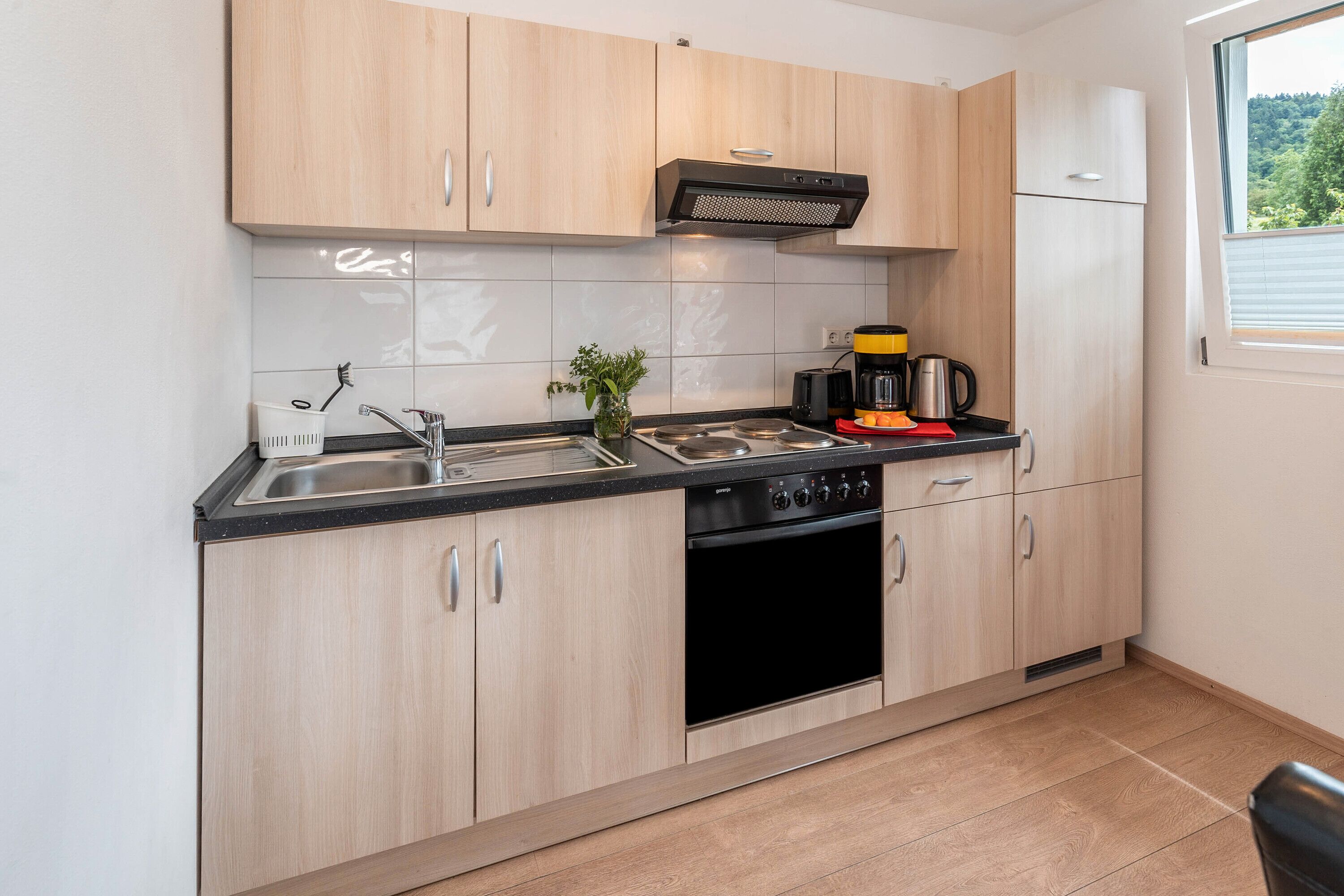 Fridge, oven, stovetop, coffee/tea maker