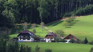 A rural setting with two houses on a hillside, surrounded by dense forest.