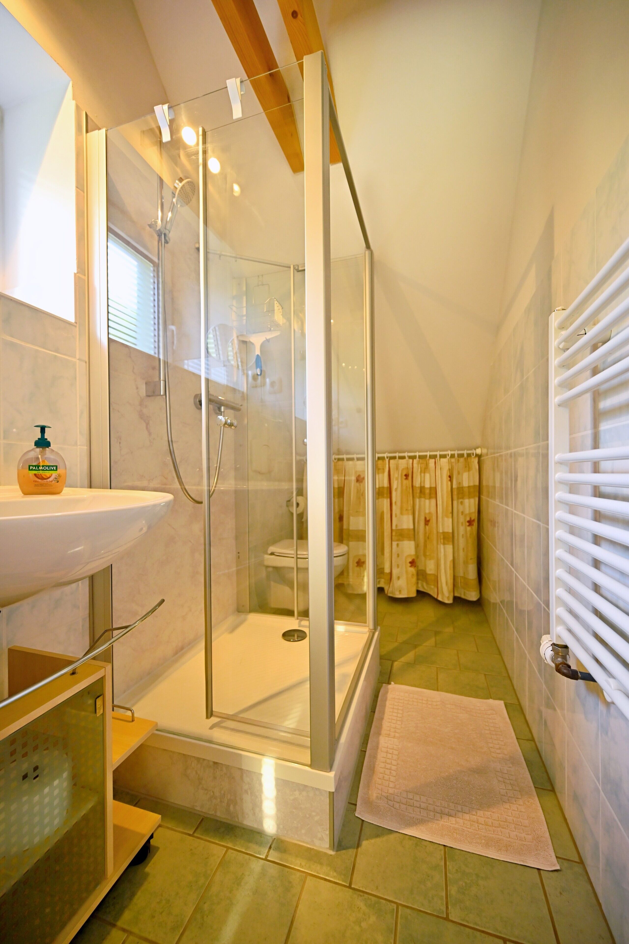 Dusche, Haartrockner, Handtücher