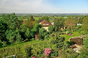 Landskab med et hus omgivet af grøn vegetation, en vingård og en fjern udsigt til en by.