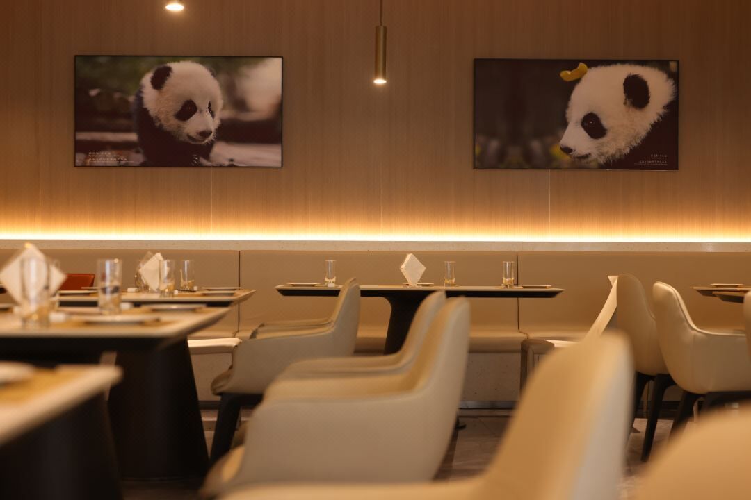 A restaurant with tables and chairs, two panda-themed wall art pieces, and a warm ambient light.