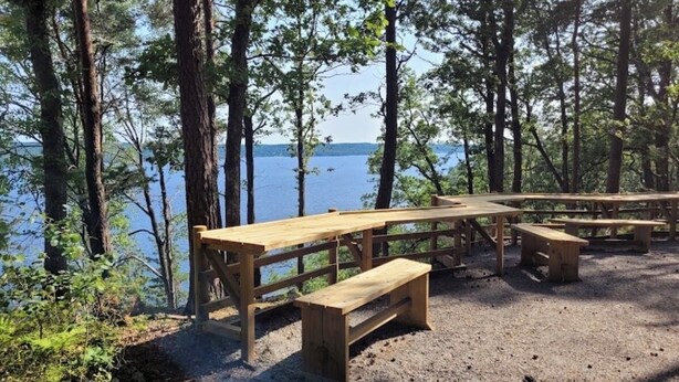 A picnic area with wooden benches and picnic tables by a lake, surrounded by trees.