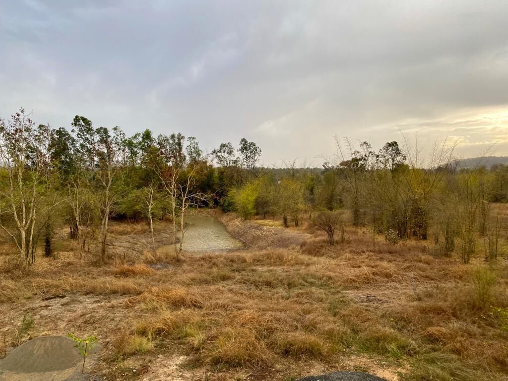 A natural landscape with a river, dry grass, and sparse trees.