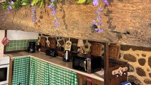 Eine rustikale Küche mit Holzbalkendecke, karierten grünen Tischdecken und einer Pflanze mit violetten Blüten, die herabhängt.