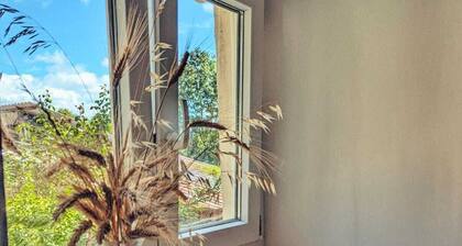 Large farmhouse with private pond - 15 people