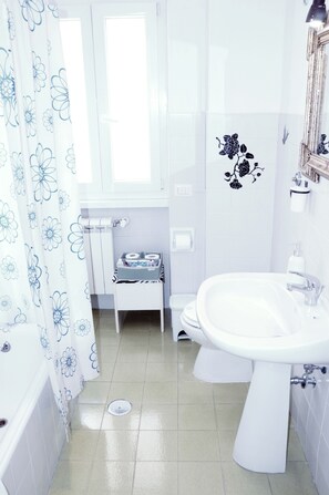 Hair dryer, bidet, towels, soap
