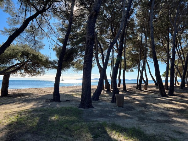 Plage à proximité