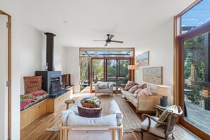 Smart TV, fireplace, books