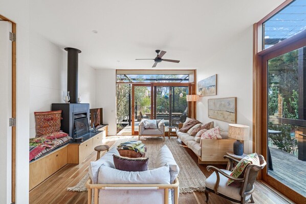 Smart TV, fireplace, books