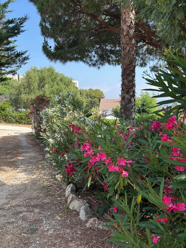 House presqu' il de giens walking beaches 9 sleeps