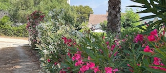 House presqu' il de giens walking beaches 9 sleeps