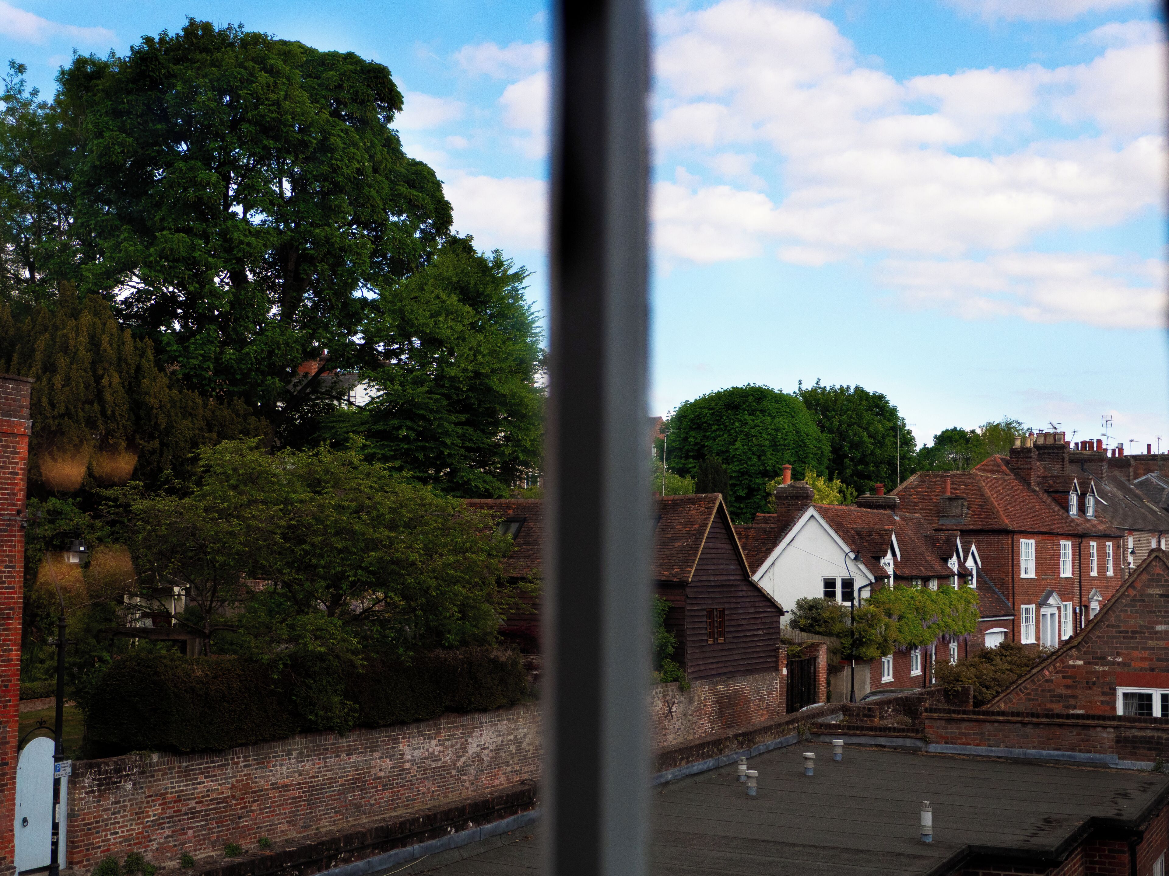 A residential area with brick houses, a large tree, and a clear sky.