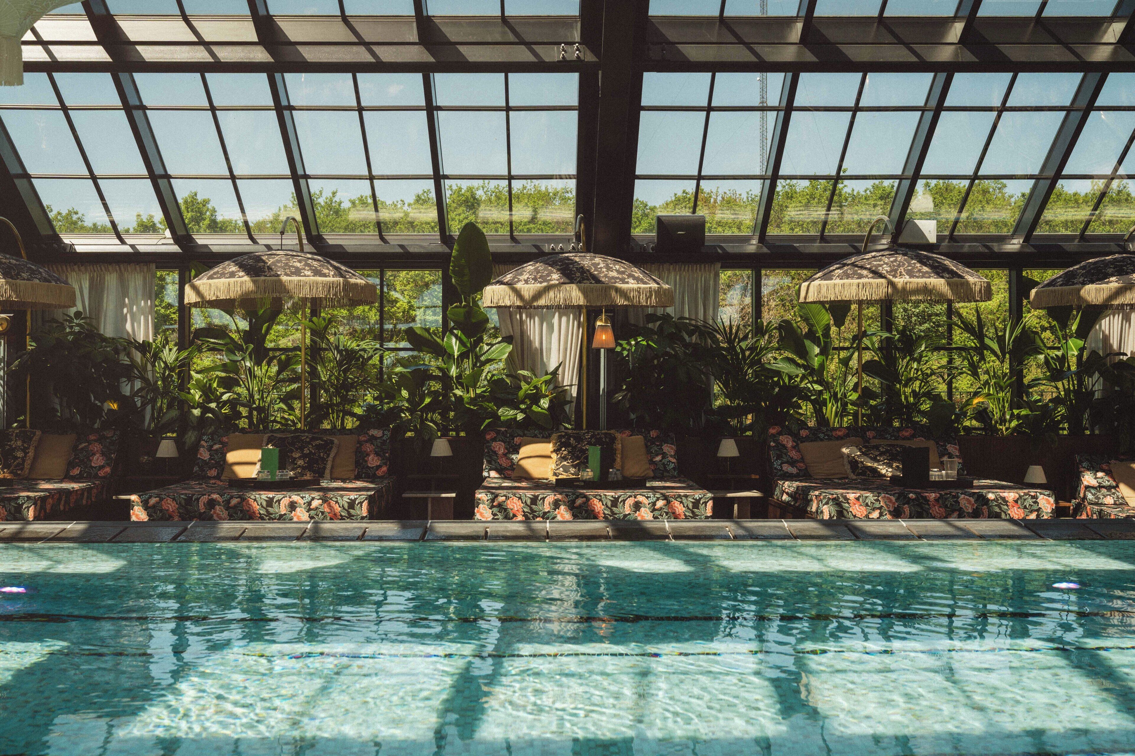 An indoor swimming pool with lounge chairs and umbrellas, surrounded by lush greenery and a glass ceiling.