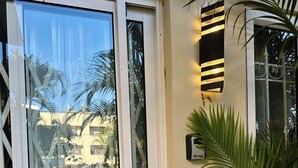Une porte en verre avec un portail de sécurité en métal, un luminaire fixé au mur et une plante en pot.