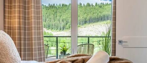 2 bedrooms, desk, iron/ironing board, travel cot