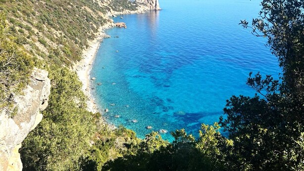 A coastal landscape with a clear blue sea, rocky cliffs, and dense greenery. - Agreen Country House Myrtle (Sardegna)