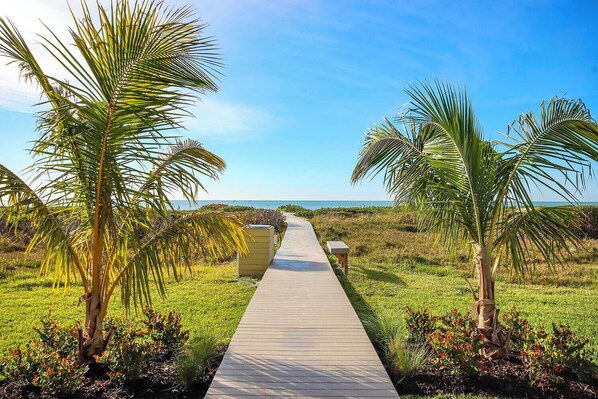 A wooden pathway leading to a beach, surrounded by palm trees and a clear sky.
