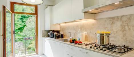 Family Apartment, 2 Bedrooms, 2 Bathrooms (Boutique Terrace Apartment In The) | Private kitchen