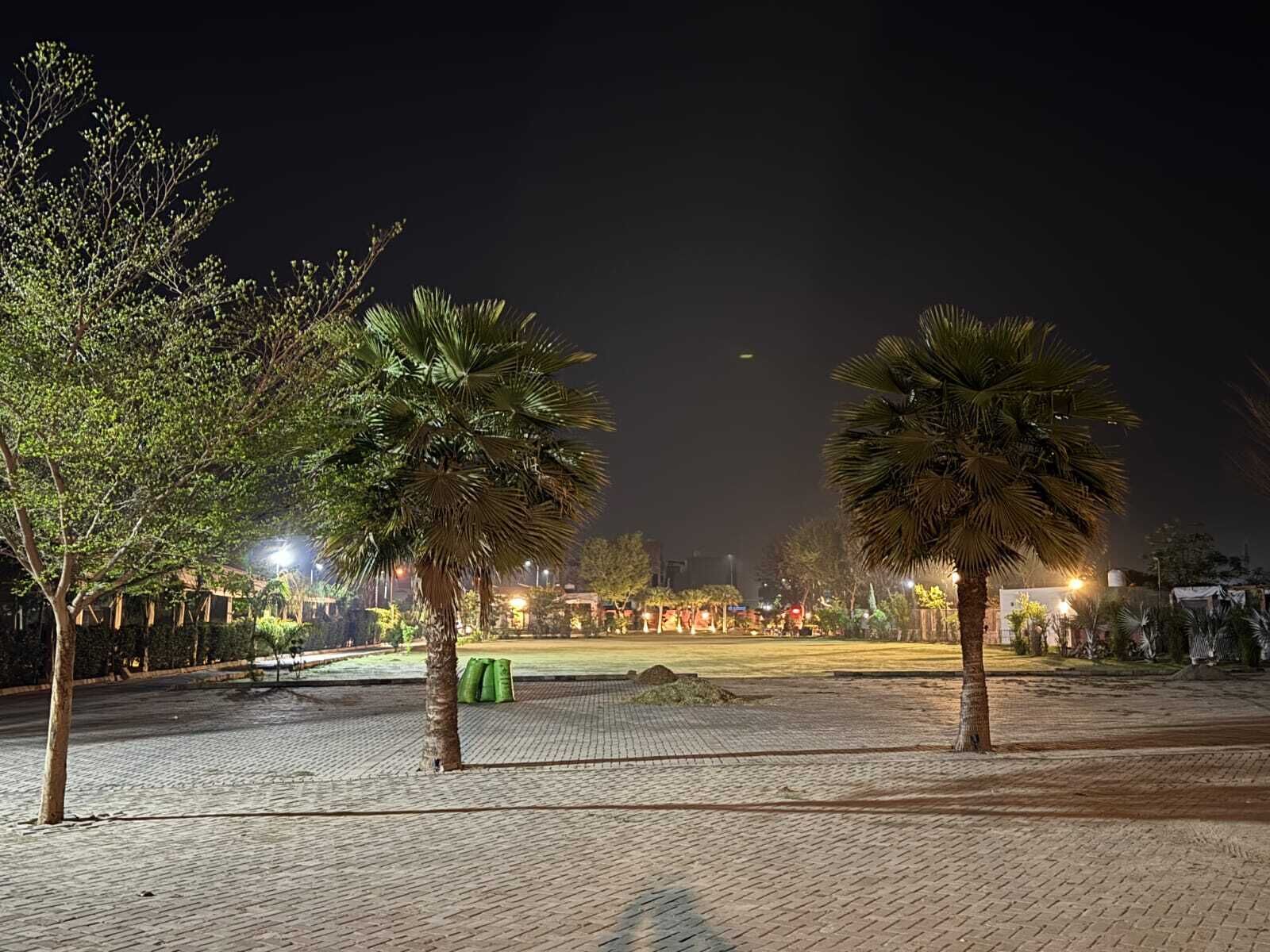 A paved outdoor area with palm trees and a distant view of a cityscape at night.