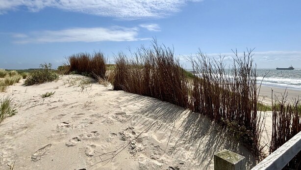 A sandy beach with tall grasses and a concrete barrier. - Nice apartment for 6 guests with WIFI, TV and terrace (Veere)