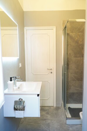 Shower, hair dryer, bidet, towels