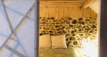 Mixed dormitory at the hostel for groups or families of up to 8 people.