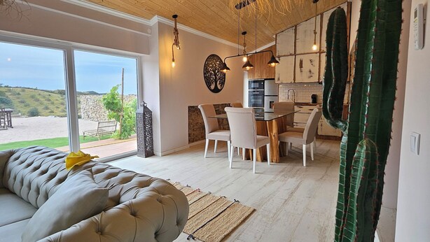 Un salon moderne avec un grand canapé beige, un coin repas avec des chaises blanches, une cuisine avec des meubles en bois et une grande plante de cactus.