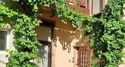 The dreaming stork 1 - F1 air-conditioned