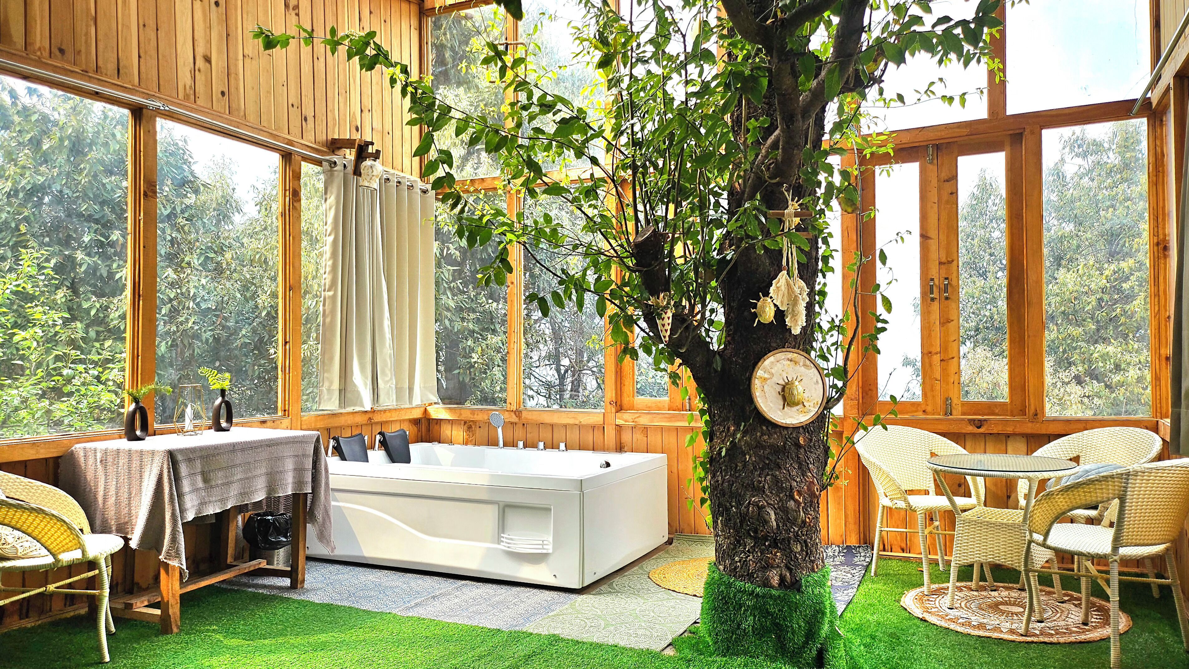 Nhà trên cây | Truy cập Internet không dây miễn phí 