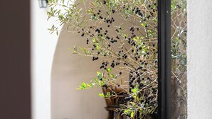 An outdoor area with a potted olive tree, a tiled patio, and a black metal gate. - Boutique Hotel Zum Goldenen Hirschen (Gmunden)