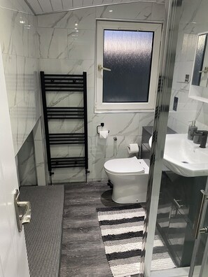Shower, hair dryer, bidet, towels