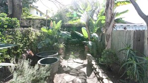 Ein Garten mit einem Kiesweg, verschiedenen Pflanzen und einem Holzzaun.